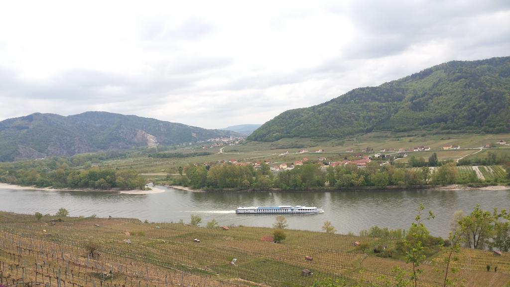 Donauwirt - Hotel Garni Weissenkirchen in der Wachau Exterior photo